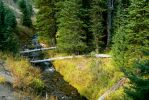 PICTURES/Annie Creek Trail - Crater Lake National Park/t_P1210232.JPG